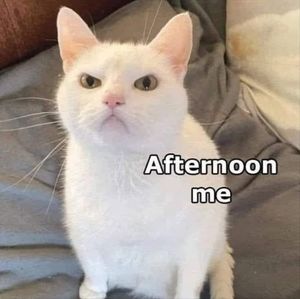 Meet your Posher, Jon